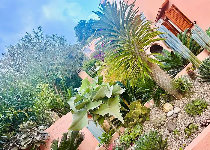 Il Giardino Davanti Al Mare