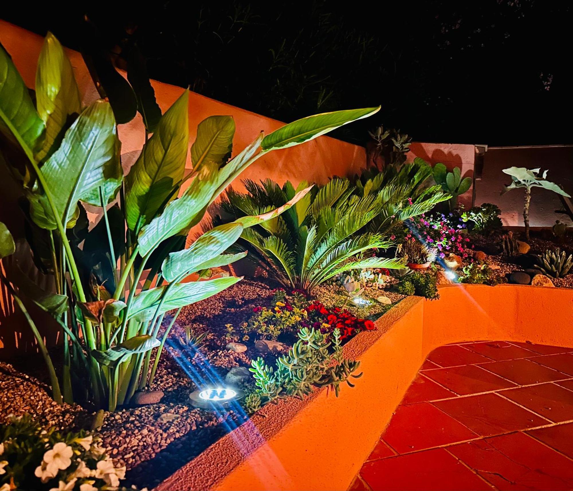 Il Giardino Davanti Al Mare *