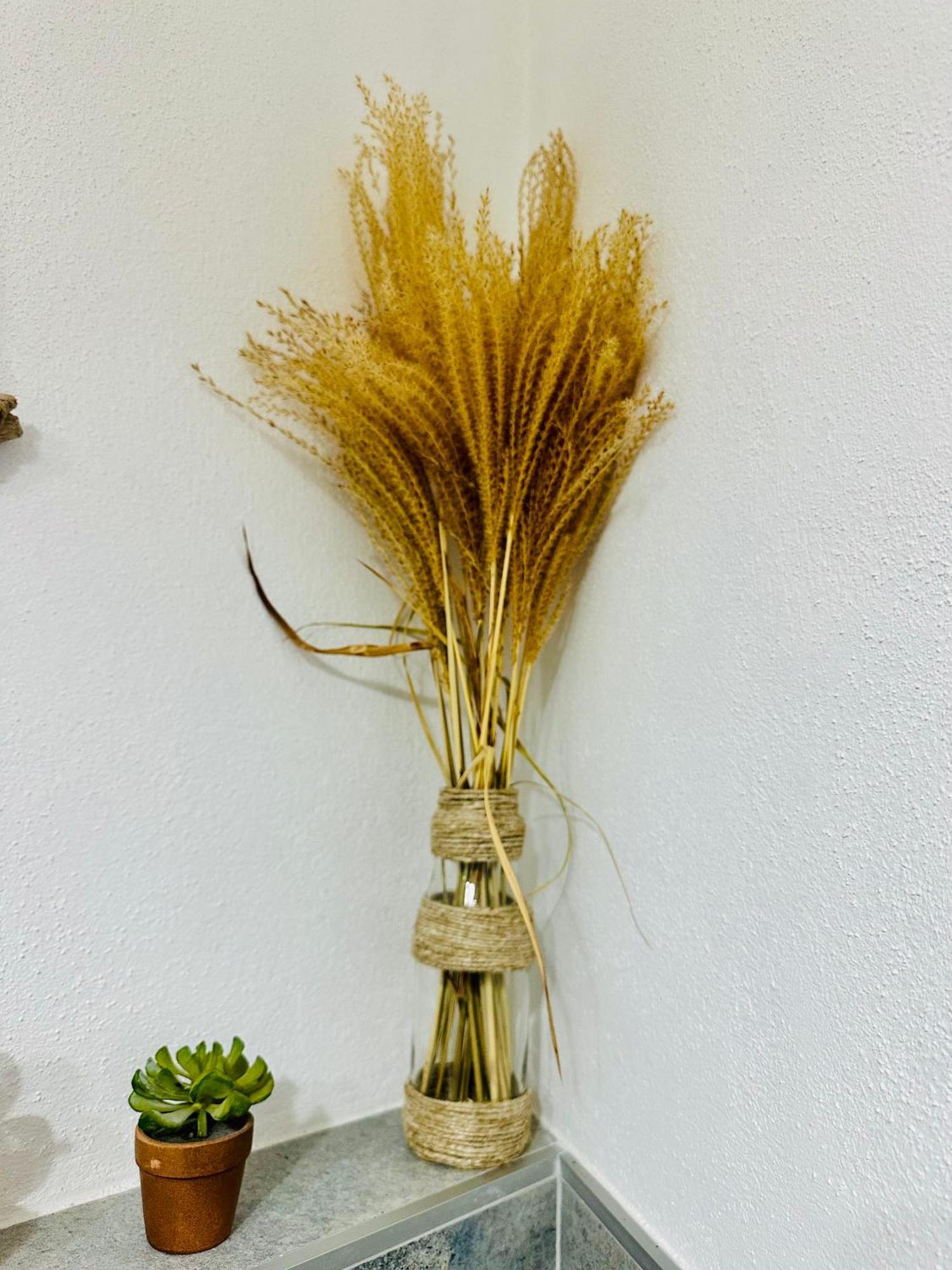 Hébergement de vacances Il Giardino Davanti Al Mare *