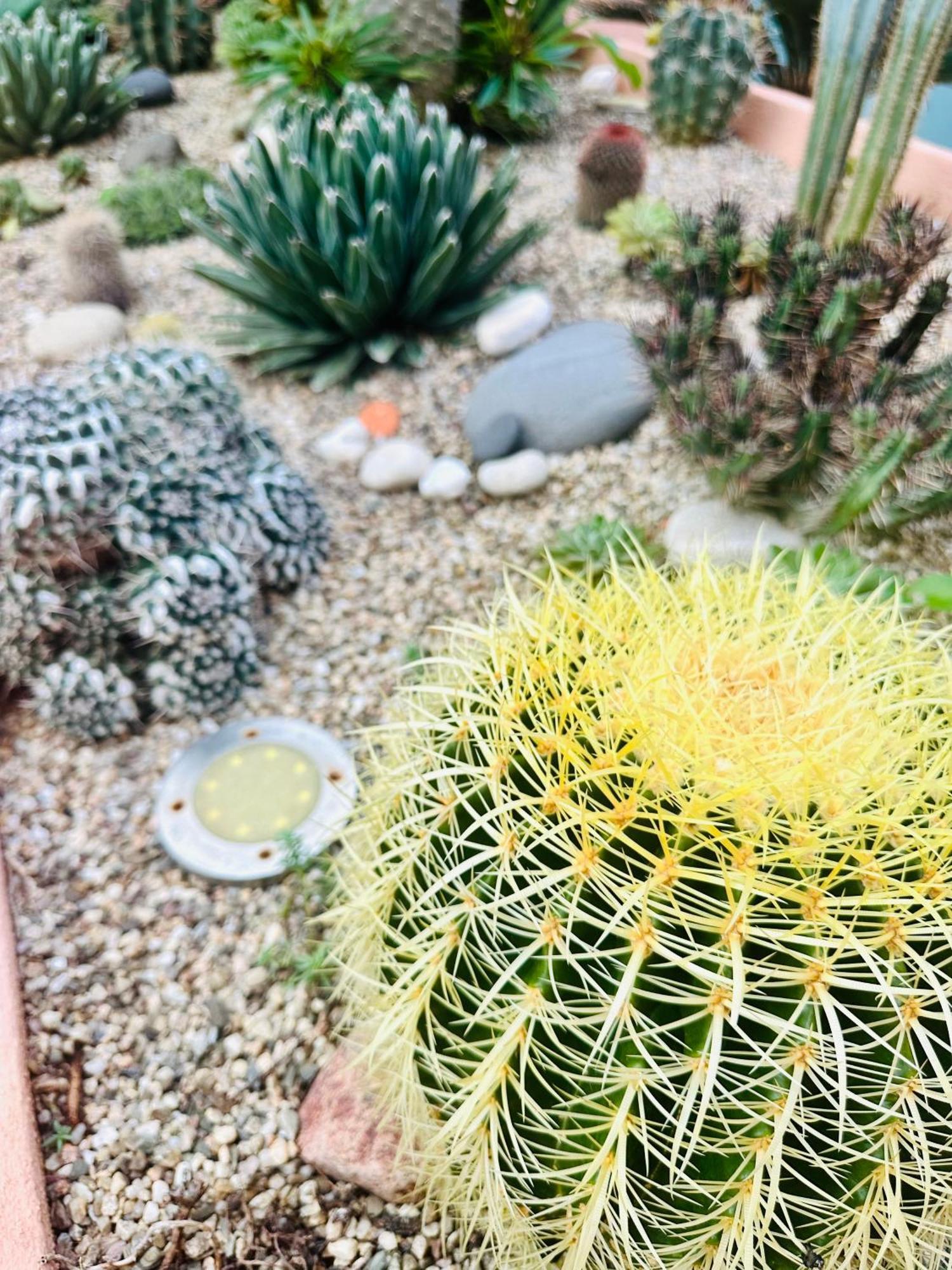 Hébergement de vacances Il Giardino Davanti Al Mare Orosei
